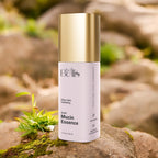 Snail Mucin Essence — HydraSnail Glow, All Day